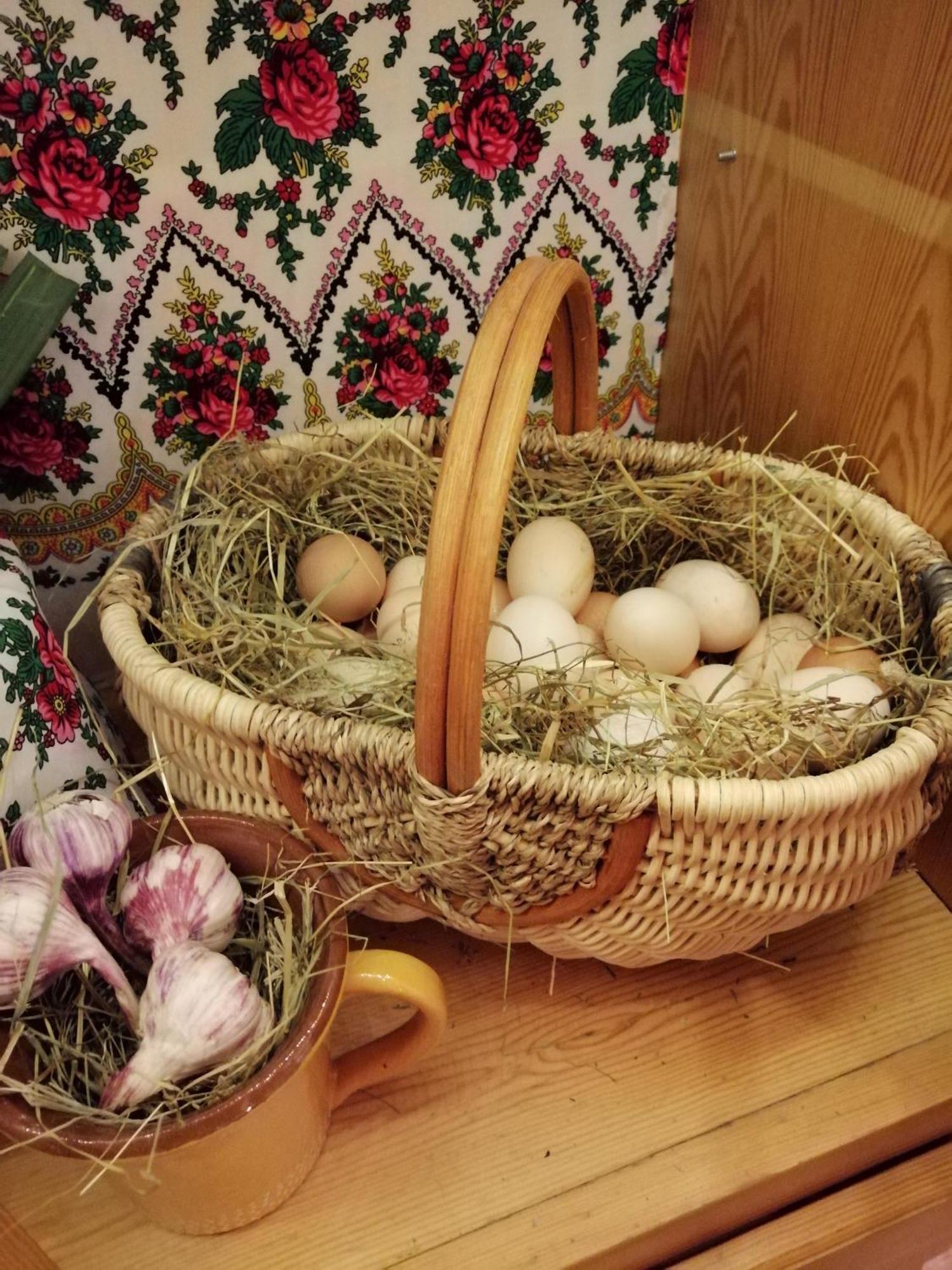 Apartamenty Kierpcowka Koscielisko Bagian luar foto